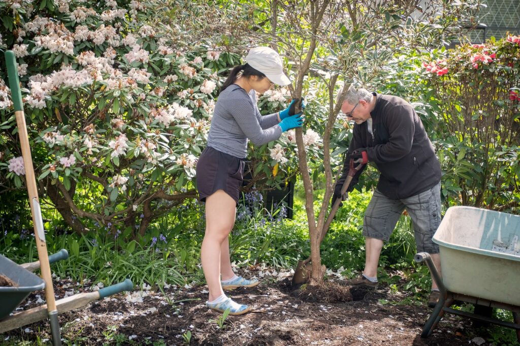 Multi-Racial Family Planting Large Tree in Front Yard