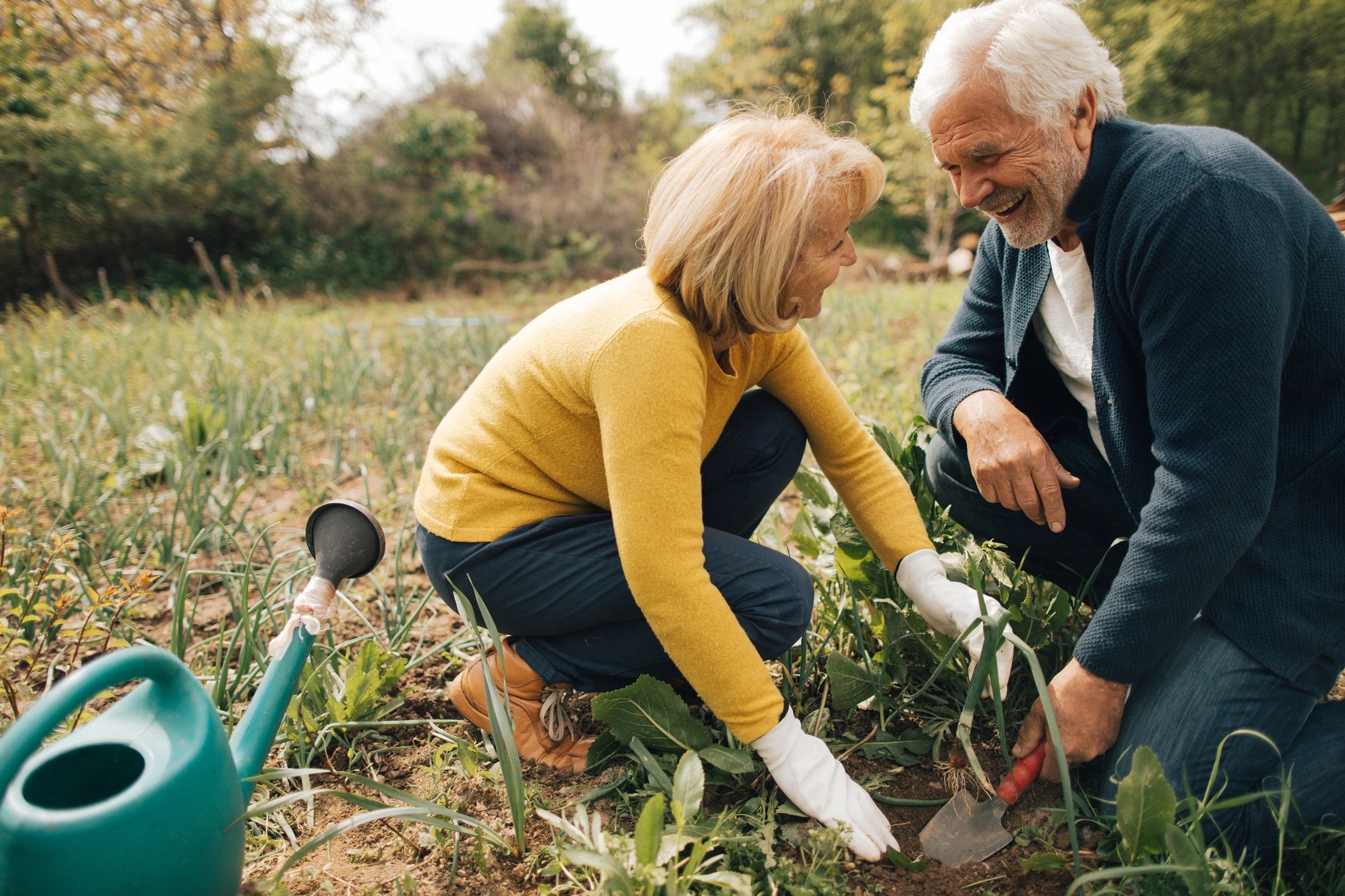 Senior couple gardening together outdoors