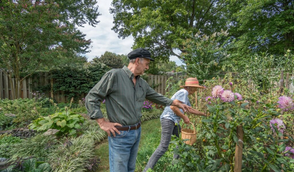 Senior Couple Working in the Backyard Garden